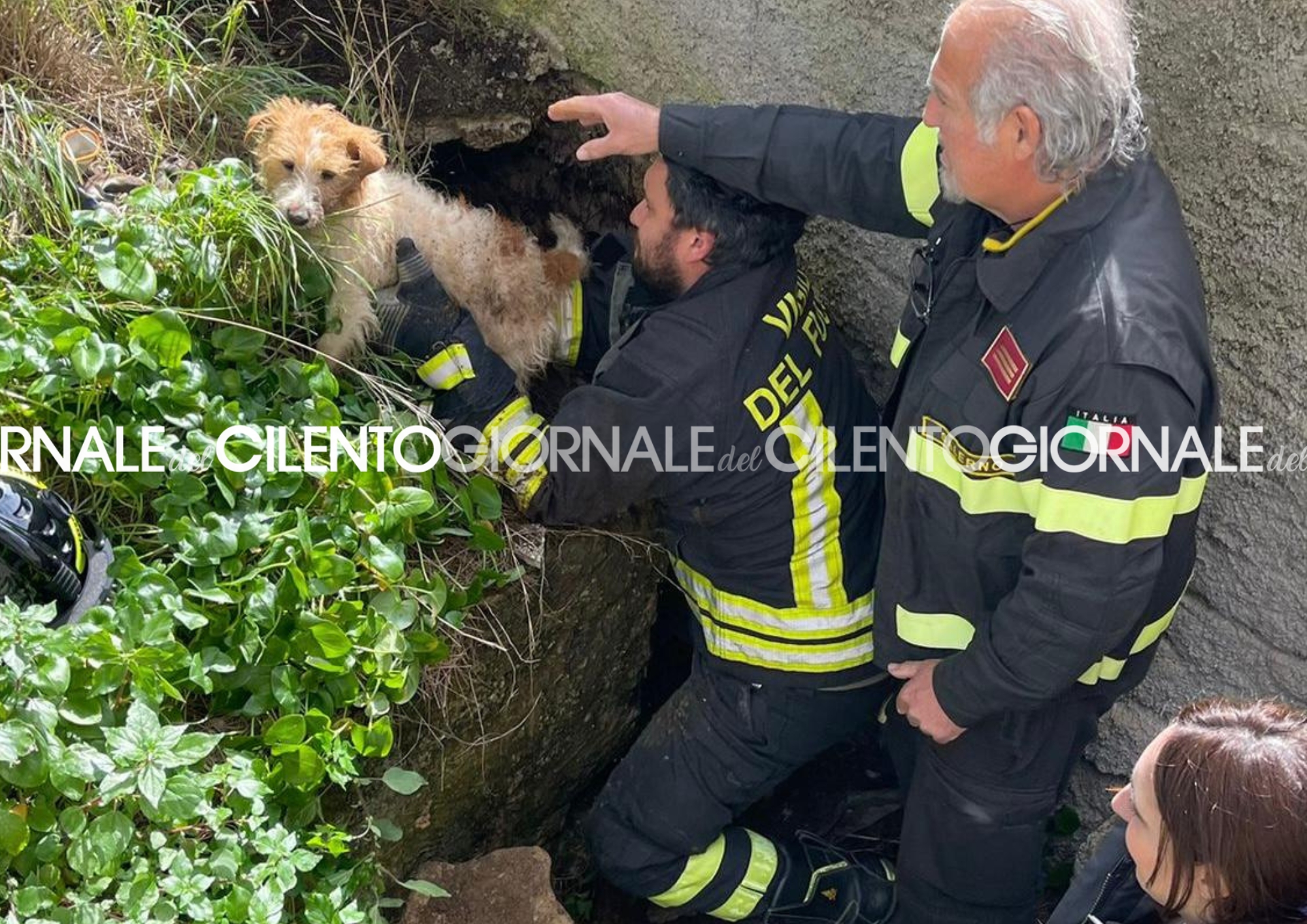 Cagnolino intrappolato in un cunicolo, salvato dai vigili del fuoco a Santa Maria di Castellabate