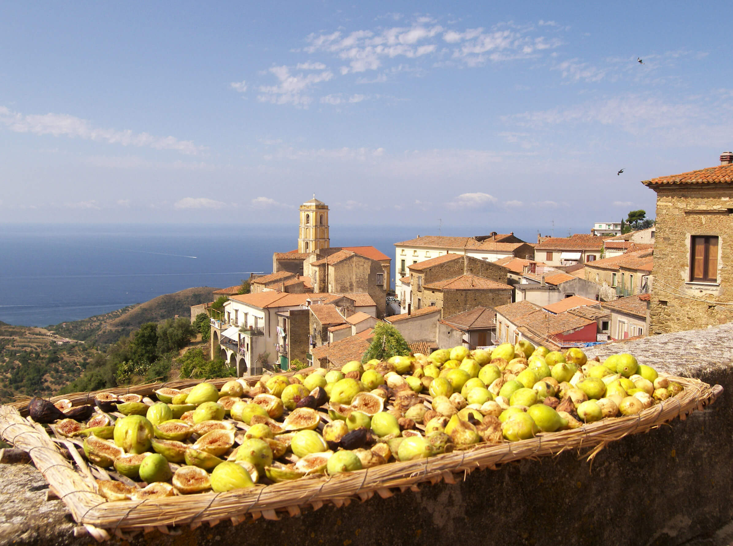 Nasce il consorzio di tutela del fico bianco del Cilento per promuoverlo sui mercati internazionali