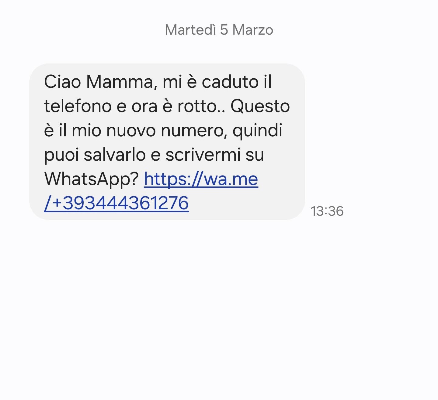 «Ciao mamma! Il mio telefono è rotto»: donna di Pollica segnala sui social tentativo di truffa: «Attenti»