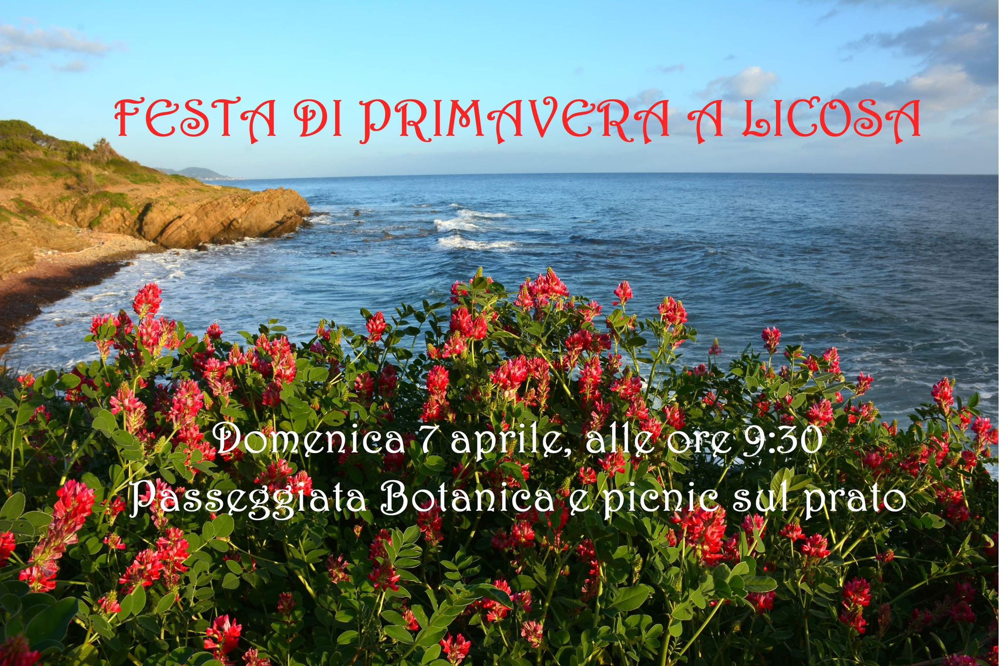 Festa di primavera a Licosa: passeggiata botanica e picnic con Dionisia De Santis