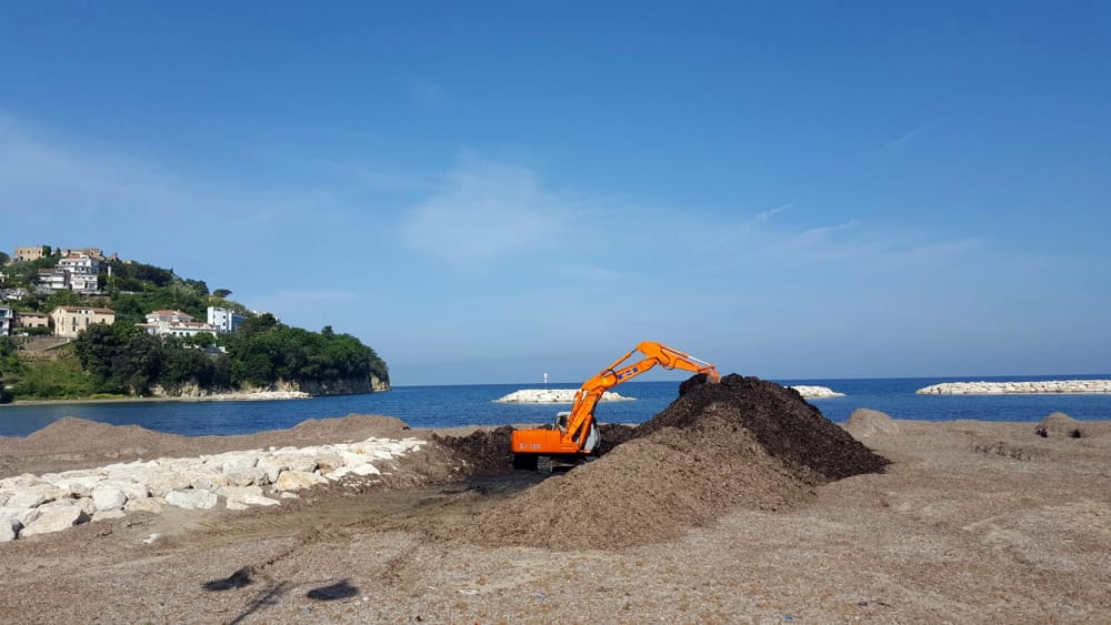 Agropoli, approvato piano per la gestione della posidonia oceanica