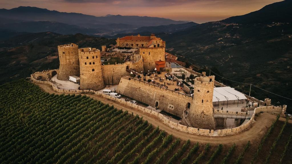 Tre giorni dedicati all’olio extravergine di oliva all’Olivitaly Med in Cilento