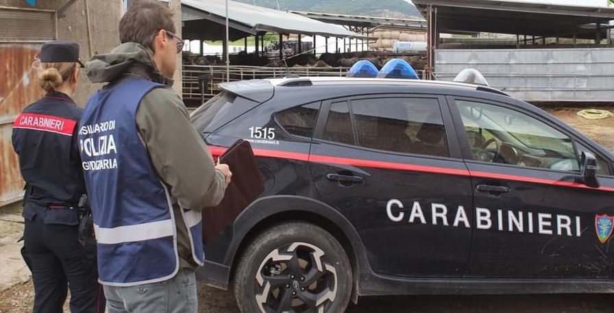 Smaltimento illecito di reflui zootecnici in un’azienda bufalina a Paestum: sequestro e denuncia