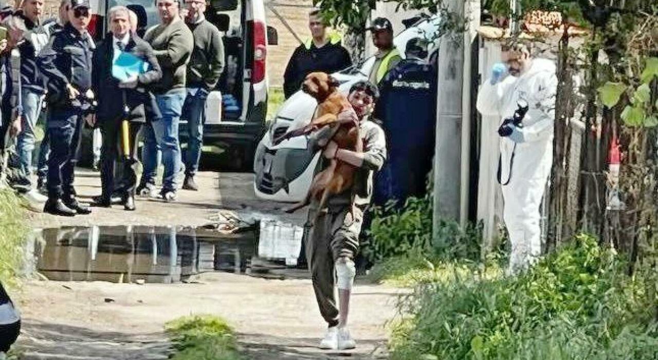 Bambino sbranato dai cani: «I pitbull di Campolongo non saranno soppressi»