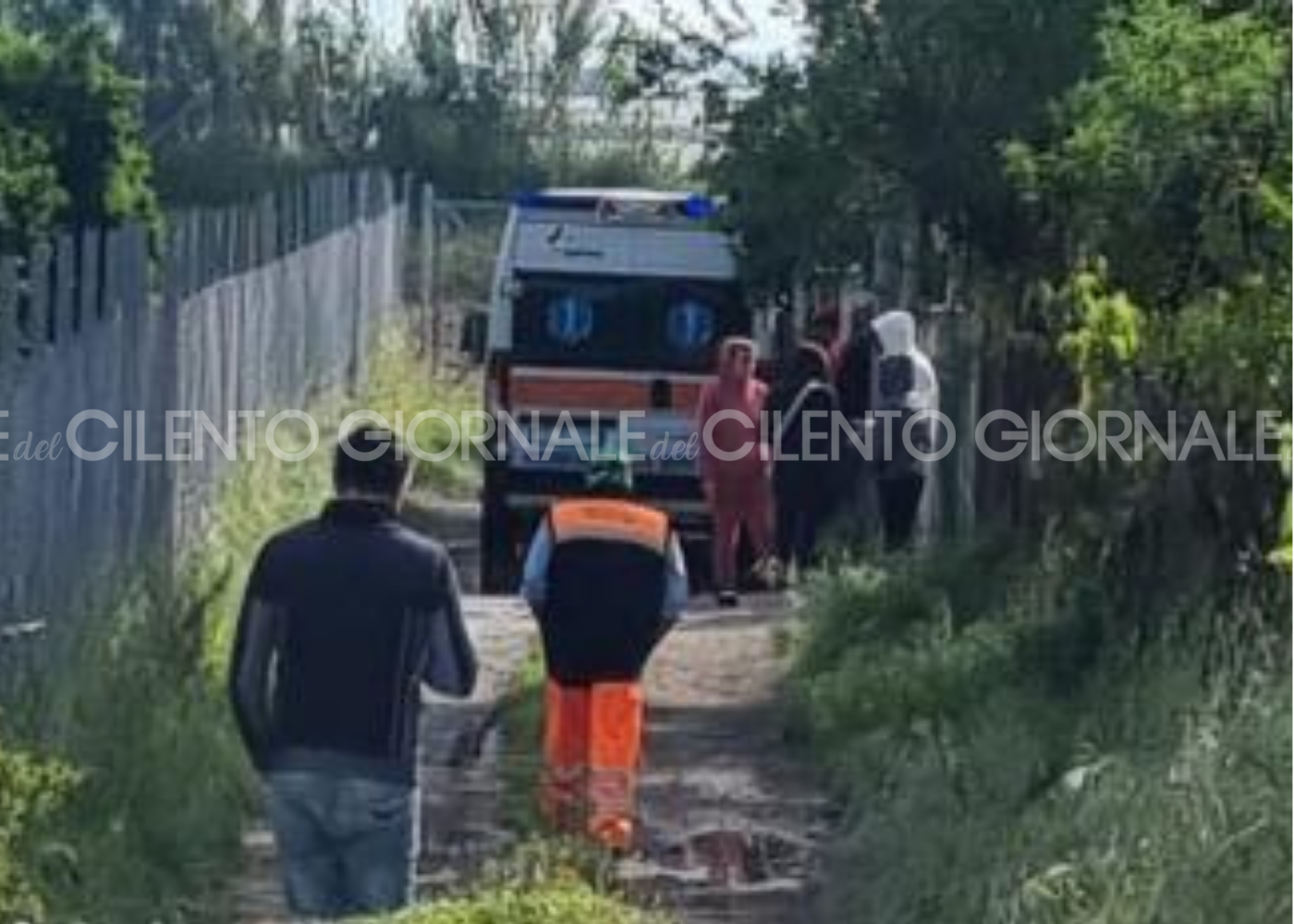 Bambino sbranato e ucciso da due pitbull: aveva solo 13 mesi. Ferita la madre