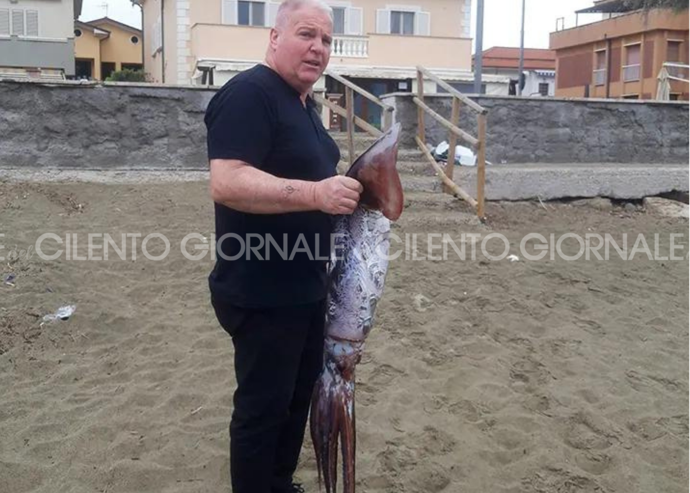 Totano gigante pescato a mani nude sul lungomare di Casal Velino Marina