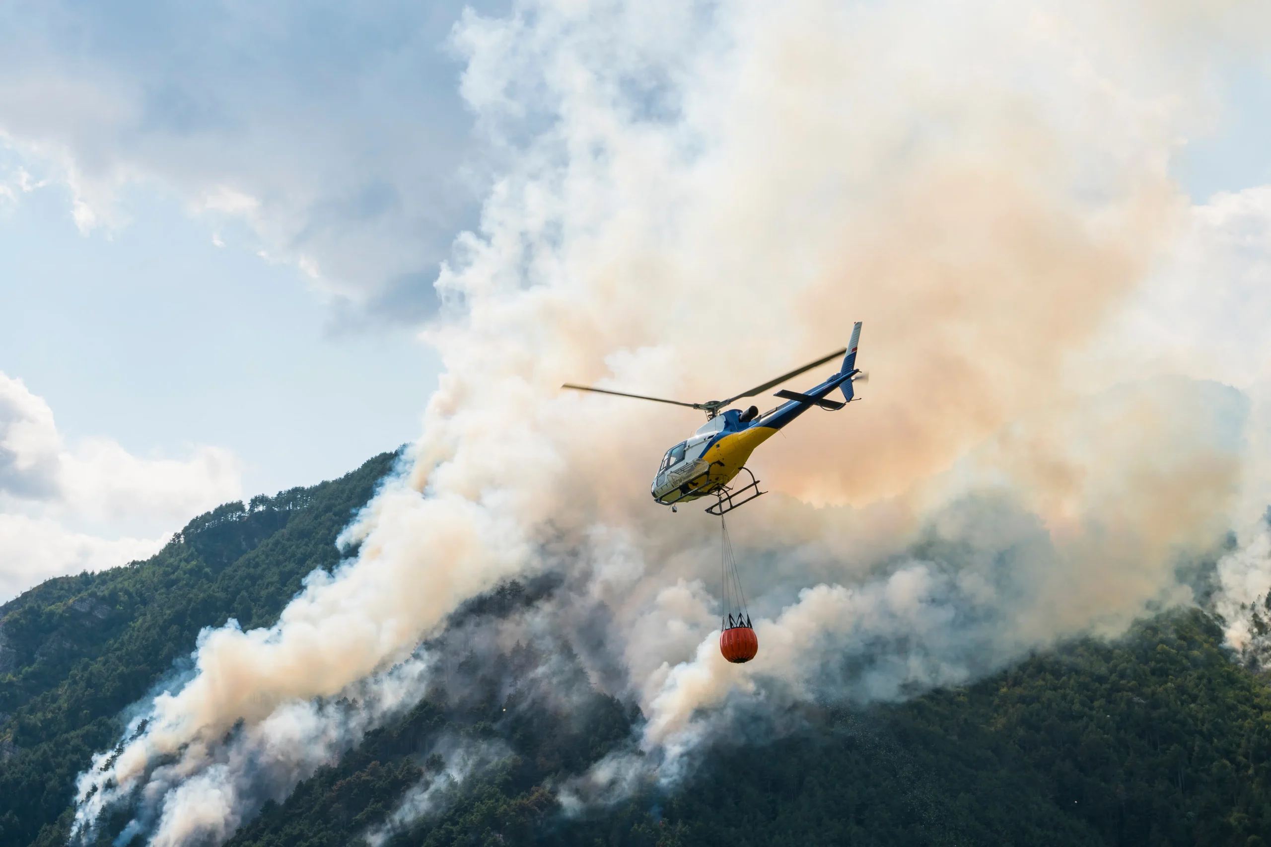 Incendi estivi, bando della Regione deserto: rischi per Cilento e Vallo di Diano