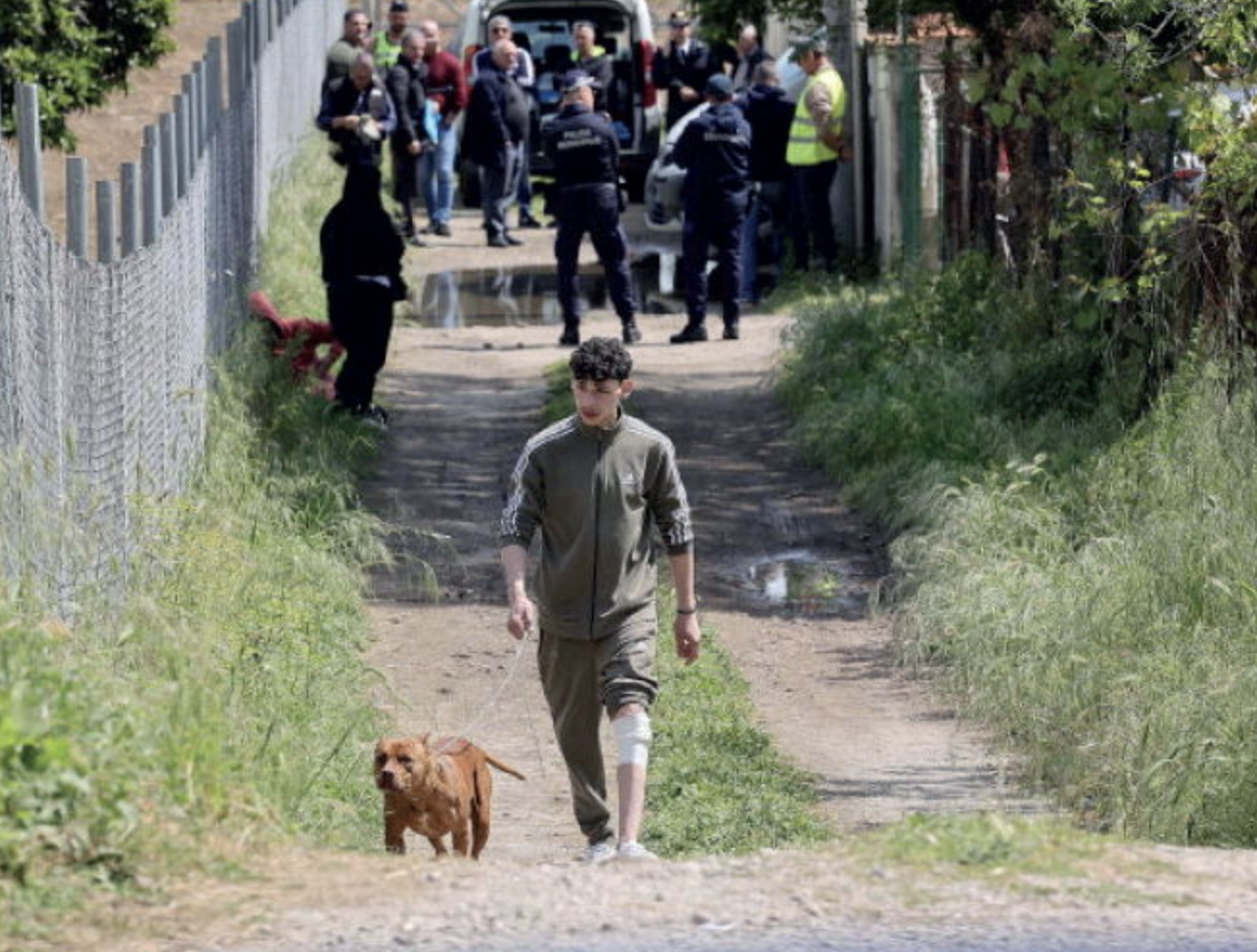 Francesco Pio strappato dalle braccia dello zio: i pitbull lo hanno ucciso in pochi secondi