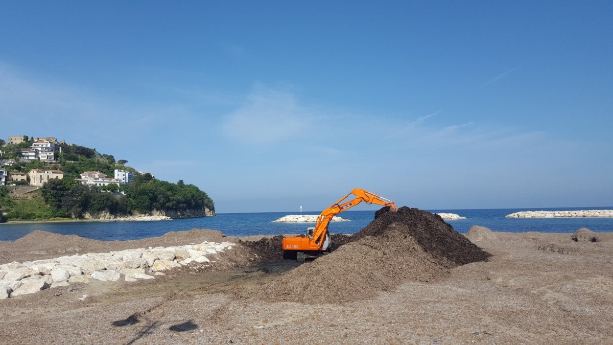 Agropoli, 89 mila euro per rimuovere le alghe dalla spiaggia