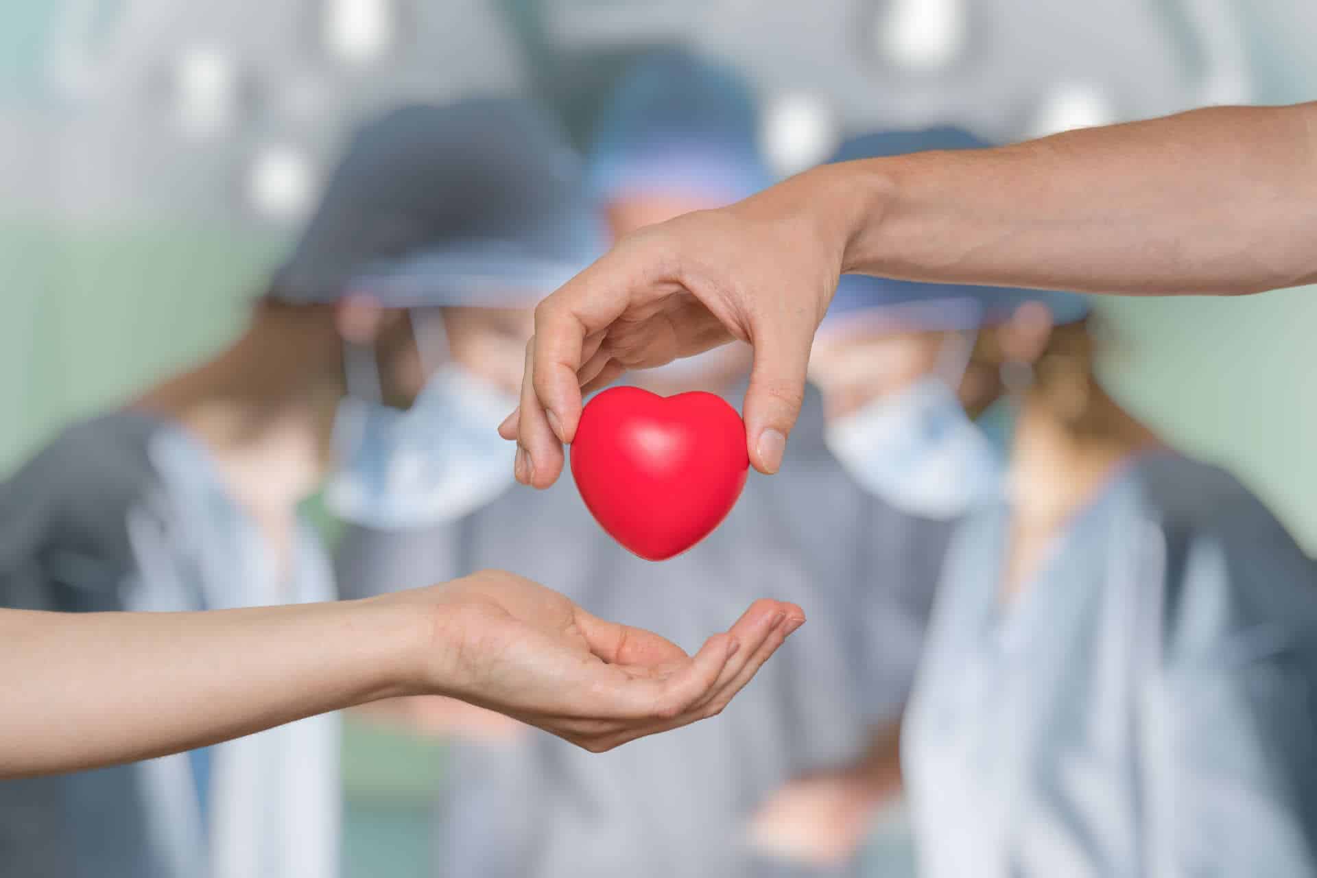 Donazioni organi, Perito secondo Comune più ‘generoso’ della Campania