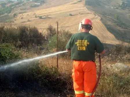 Sciopero dei lavoratori idraulico forestali, Palmieri: «Dignità ad operai lasciati soli»