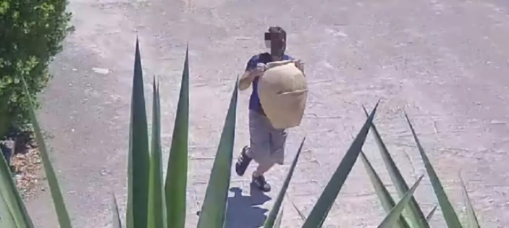 Furto di anfore nel Vallo di Diano, colpi a Teggiano e Pertosa: fenomeno in crescita