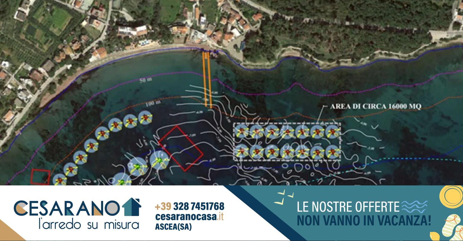 castellabate-un-campo-ormeggio-nella-baia-di-ogliastro-marina
