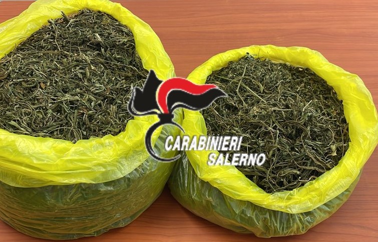 Castelnuovo Cilento, aveva un chilo e mezzo di droga nascosta a casa: 44enne arrestato