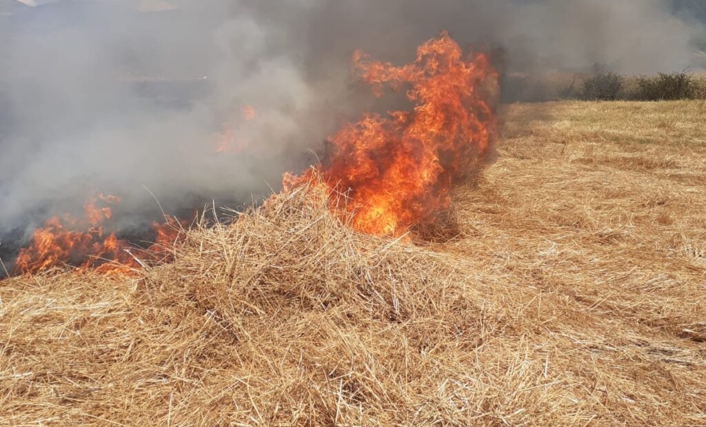 San Pietro al Tanagro, fiamme in località Lacivo: forse dolo. Indagini in corso
