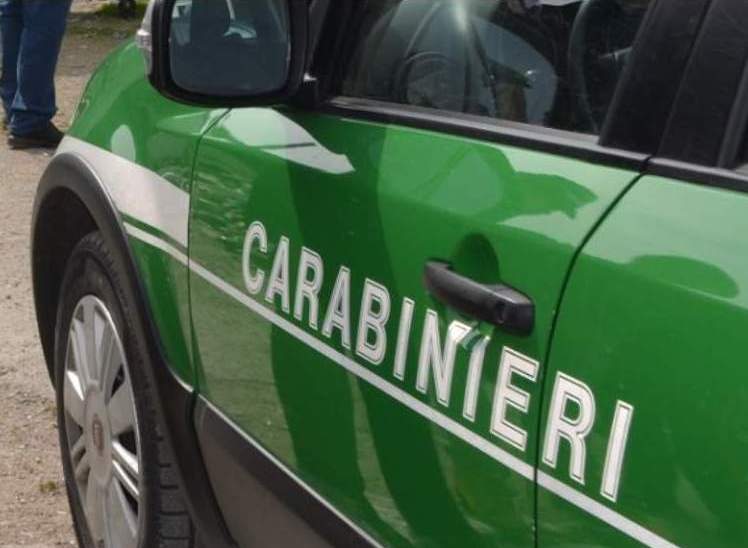 Sapri, strada abusiva e deposito di materiali: area sequestrata