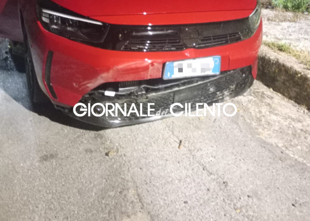 Incidente stradale nel Cilento: auto contro cinghiale. Due feriti