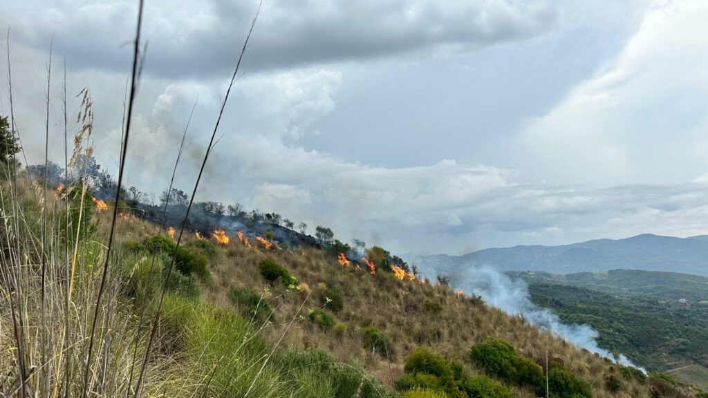 Lustra, incendio colpisce collina non lontana dalle case