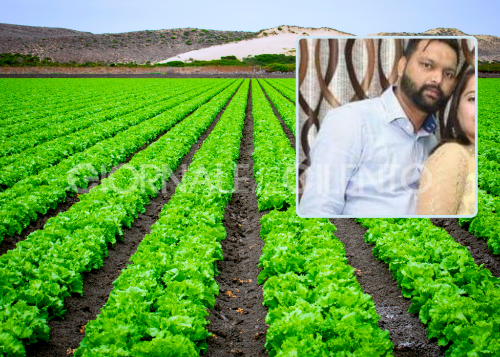 Bracciante agricolo di 35 anni ucciso e decapitato: ora in sei rischiano il processo