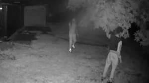Le videocamere di sicurezza hanno ripreso il ladro: posso pubblicare online le immagini?