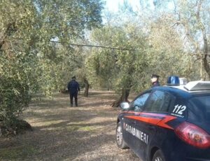 Tragedia in un’azienda bufalina: 37enne trovato morto in una vasca per il letame