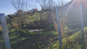 La SP427 Salvitelle-Buccino è un pericolo per chi la percorre: la denuncia della Pro loco