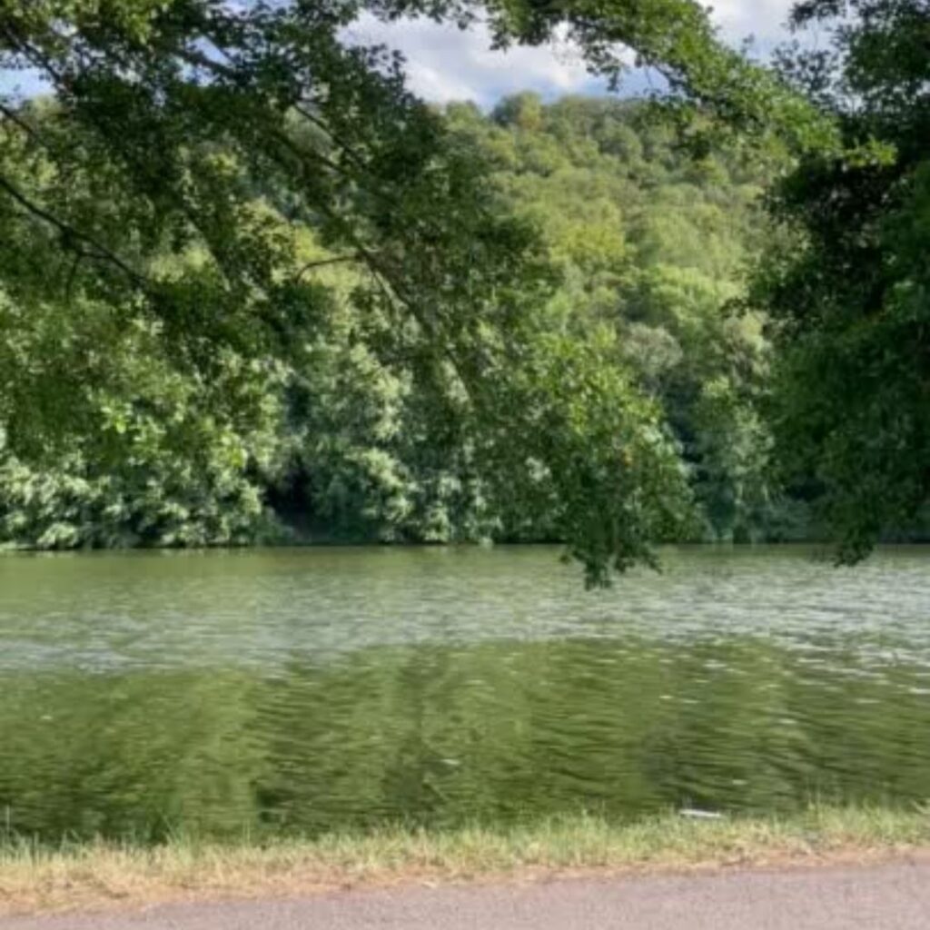 Montecorice: giornata ecologica in memoria di Giuseppe Tarallo