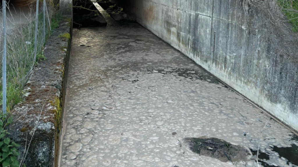 Sala Consilina, schiuma nel fiume Tanagro e discariche abusive sotto un cavalcavia dell’A2