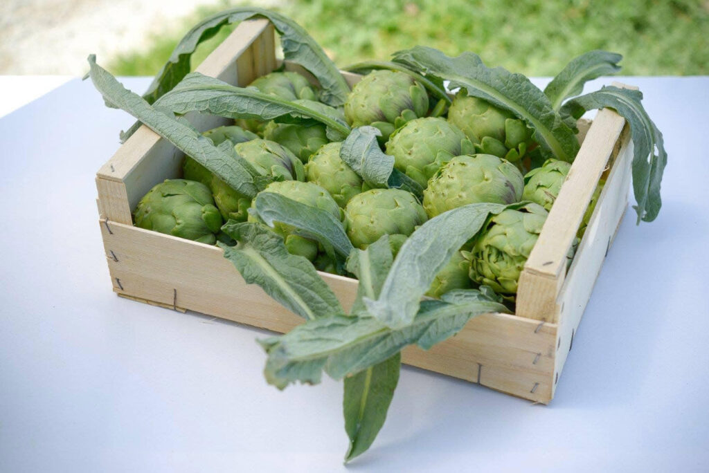 Auletta, tutto pronto per ‘Bianco Tanagro’: l’inaugurazione il 25 aprile con Adriana Volpe