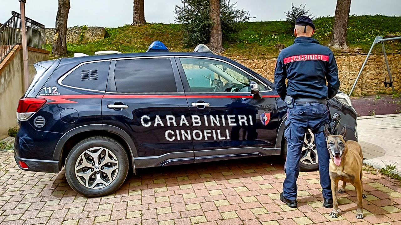 Ceraso, blitz antidroga: mamma e figli nei guai. I dettagli dell’operazione