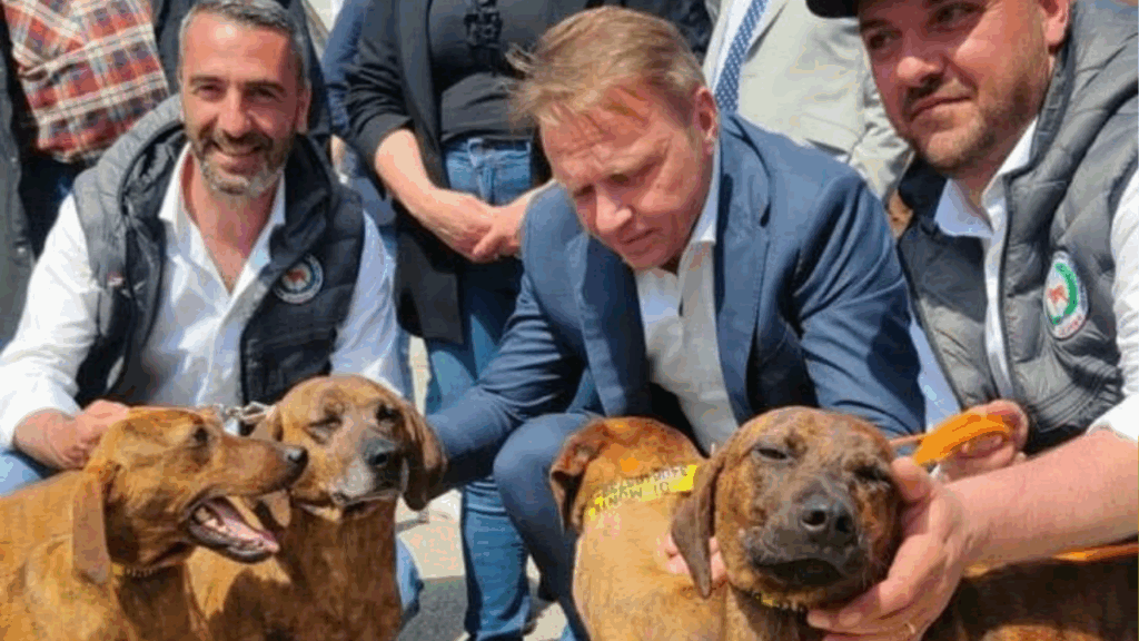 Pro Segugio Salerno, elogio del ministro Lollobrigida per la tutela ambientale nel Cilento