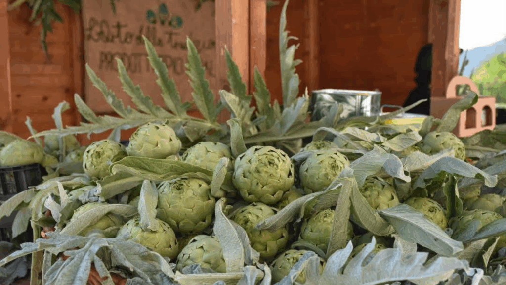 Bianco Tanagro da record, «Ora lavoriamo a un brand unico»