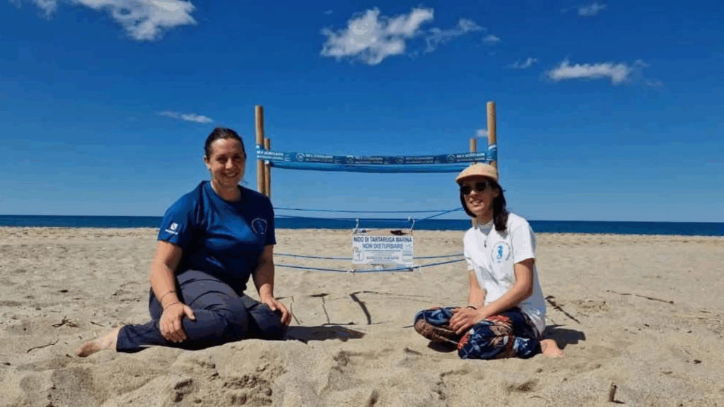 Ascea Marina: scoperto il primo nido di tartaruga Caretta Caretta del 2025 in Campania