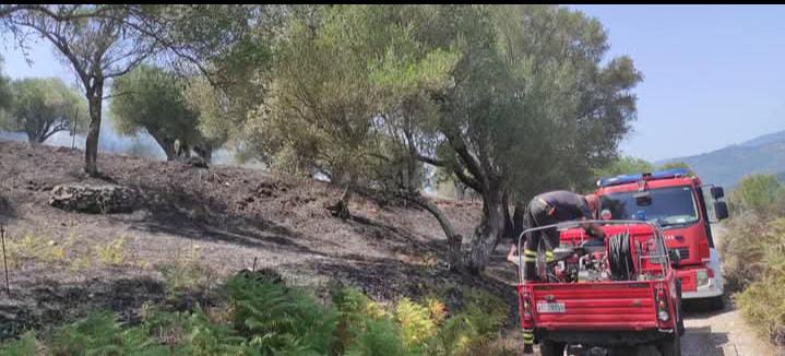 Incendio lungo la strada a Poderia: domato dai Vigili del Fuoco