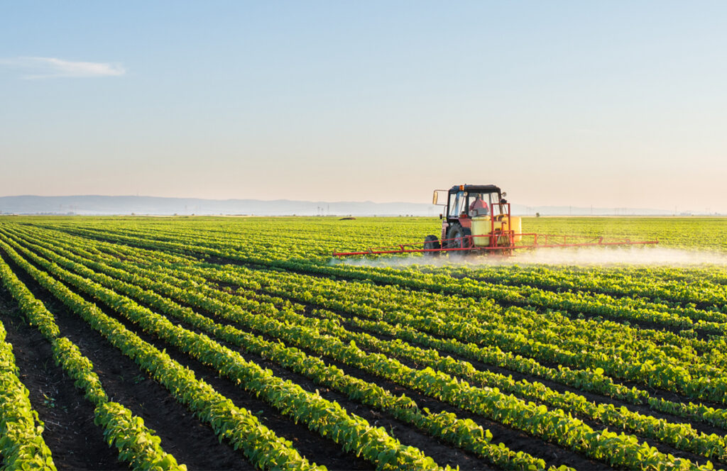 Libero scambio UE-Mercosur, le perplessità degli agricoltori campani
