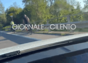 Pericolo lungo la Cilentana, ciclisti tra Ceraso e Cuccaro Vetere: forse stranieri