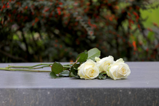 Salerno, per la festa della mamma rose bianche e un concerto al cimitero