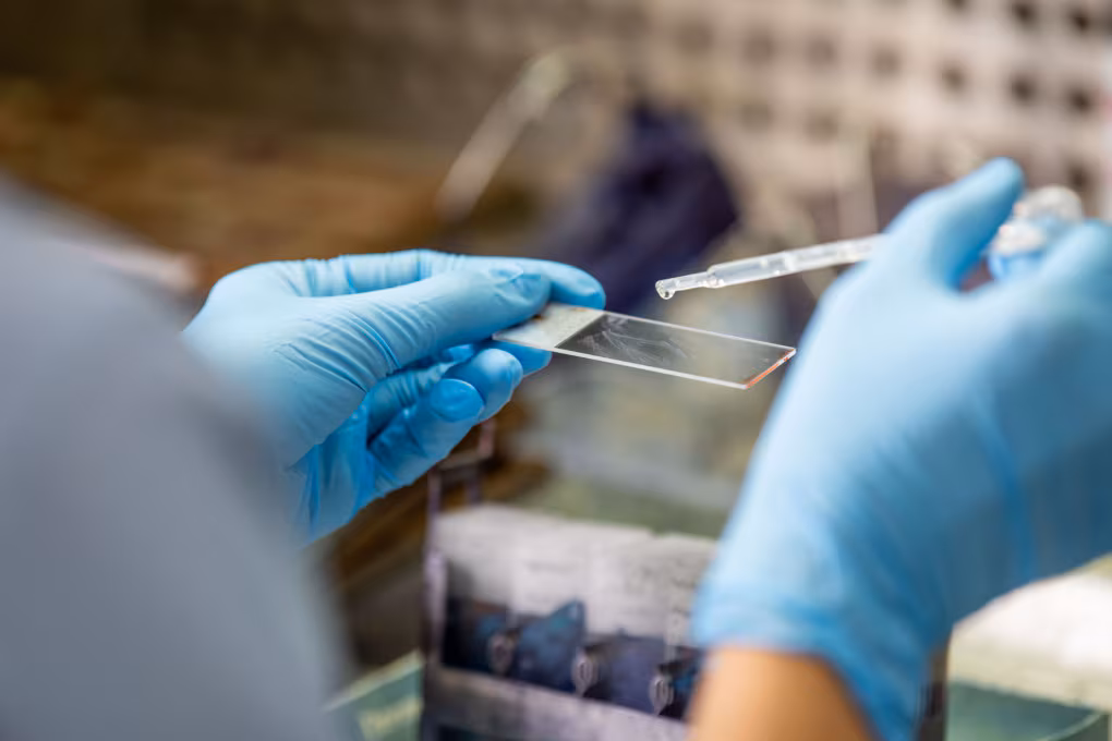 Screening oncologici, Campania fanalino di coda: adesioni bassissime e gravi ritardi organizzativi
