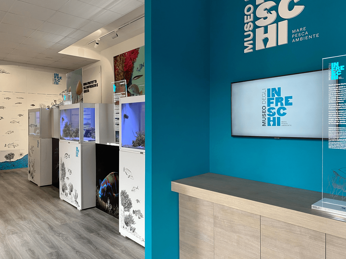 Camerota, il Museo degli Infreschi inaugura una nuova era: al via la cogestione tra Comune e Sea Academy