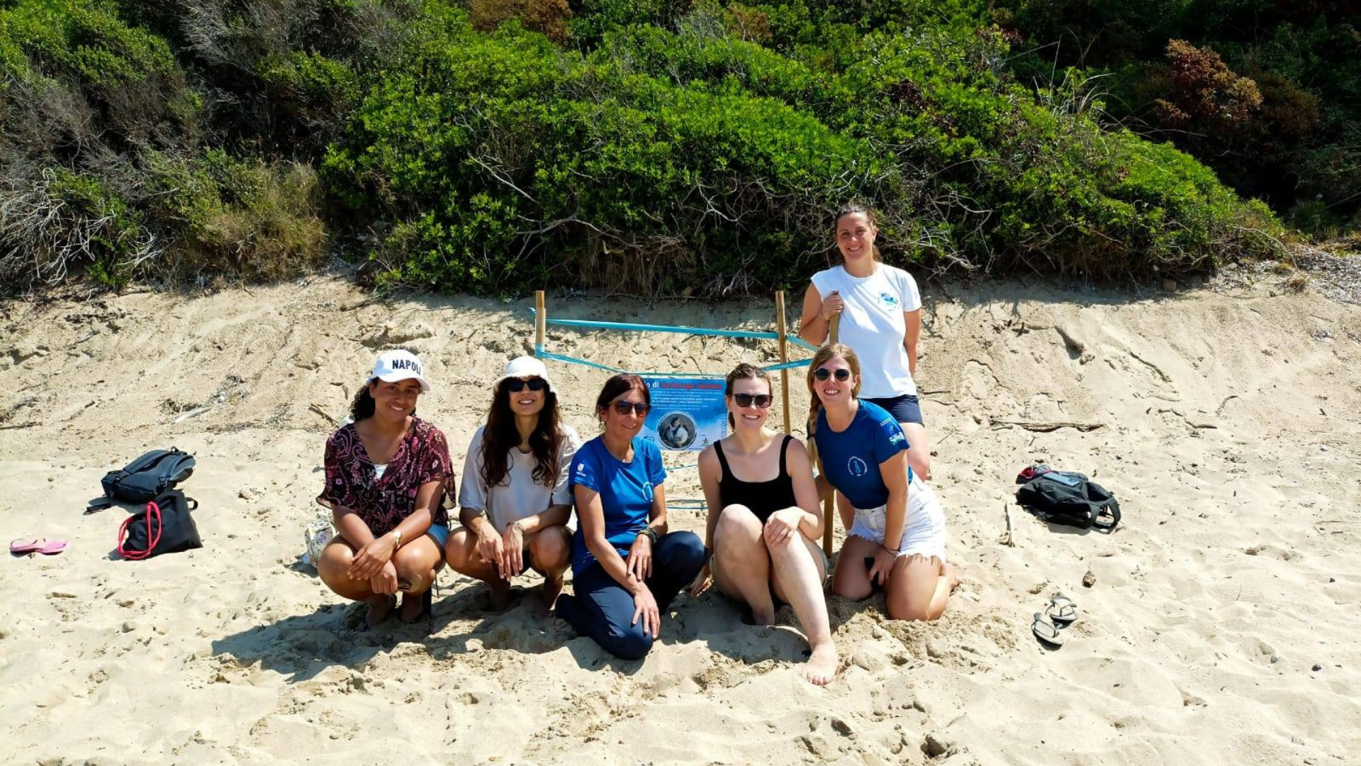 Cilento, scoperti nuovi nidi di tartaruga Caretta caretta