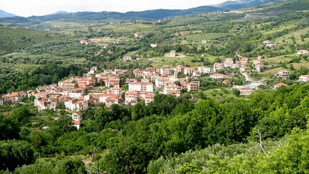 Arriva nel Cilento il “Festival dei girasoli”: dal 11 al 13 luglio a Ceraso