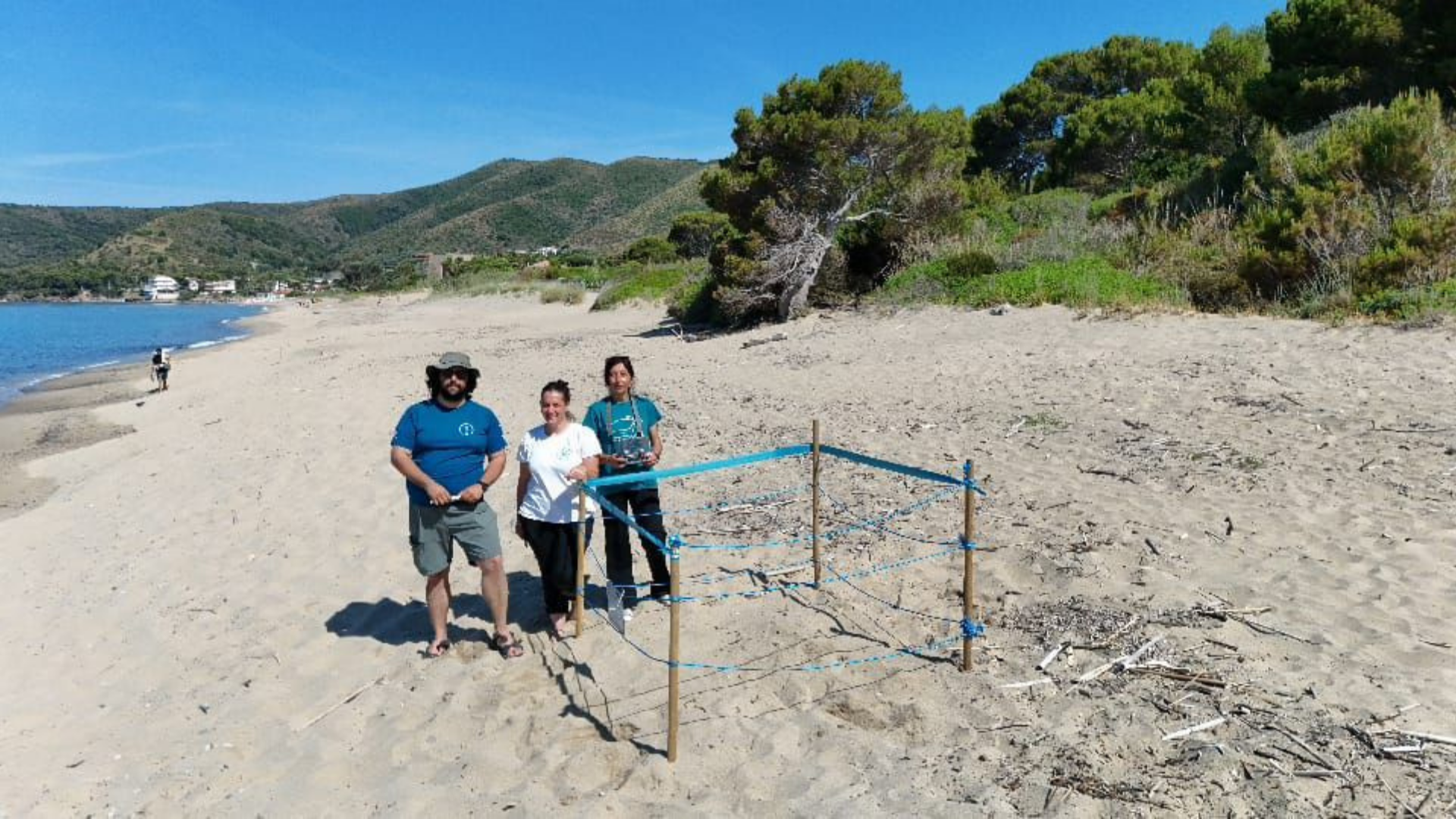 Montecorice, tartaruga Caretta caretta depone uova sulla spiaggia di Baia Arena