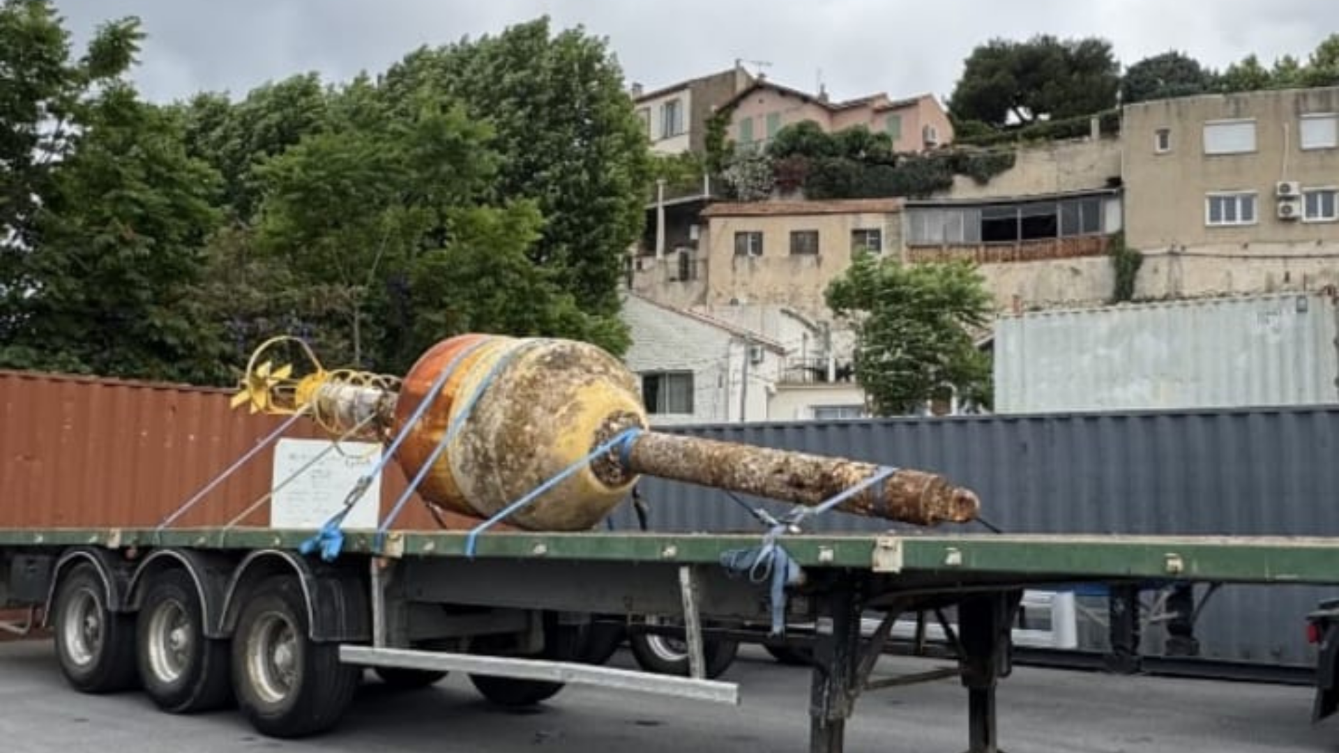 Boa del Parco ritrovata in mare francese, dopo due anni ha fatto il suo ritorno a casa
