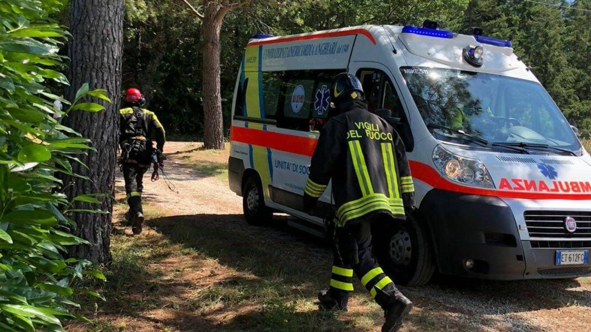 Grave incidente a Ceraso: uomo precipita da un albero, è in prognosi riservata