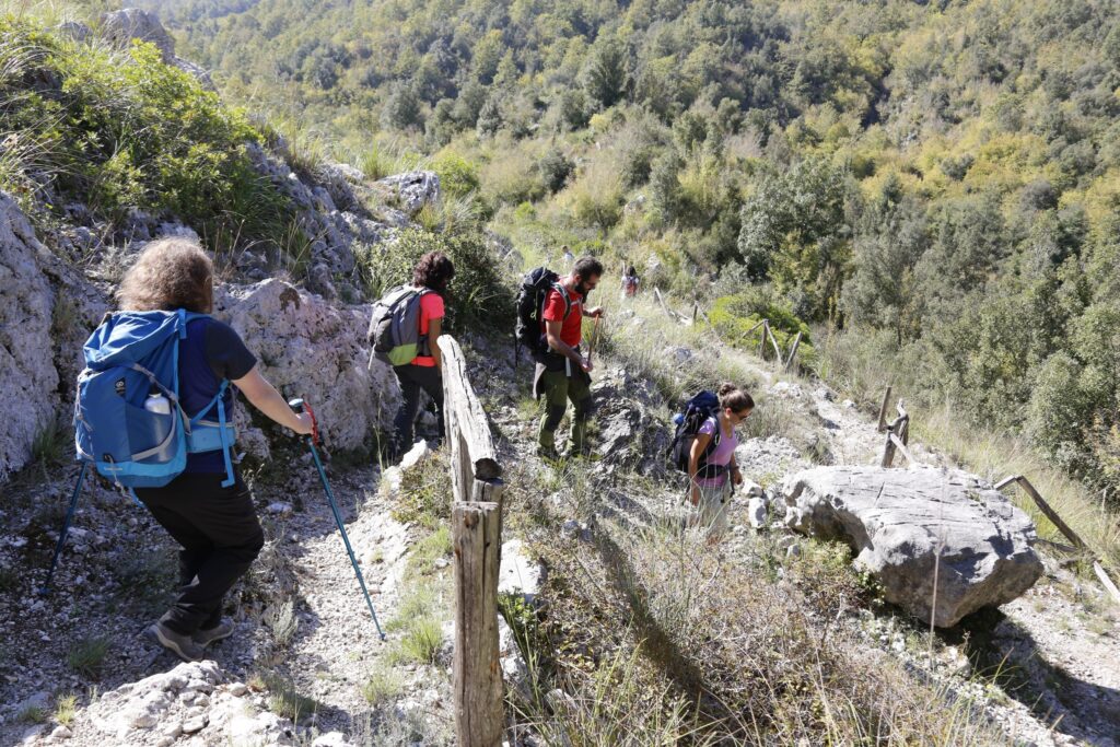 Giugno nel Cilento: tra fioriture, tartarughe e cammini