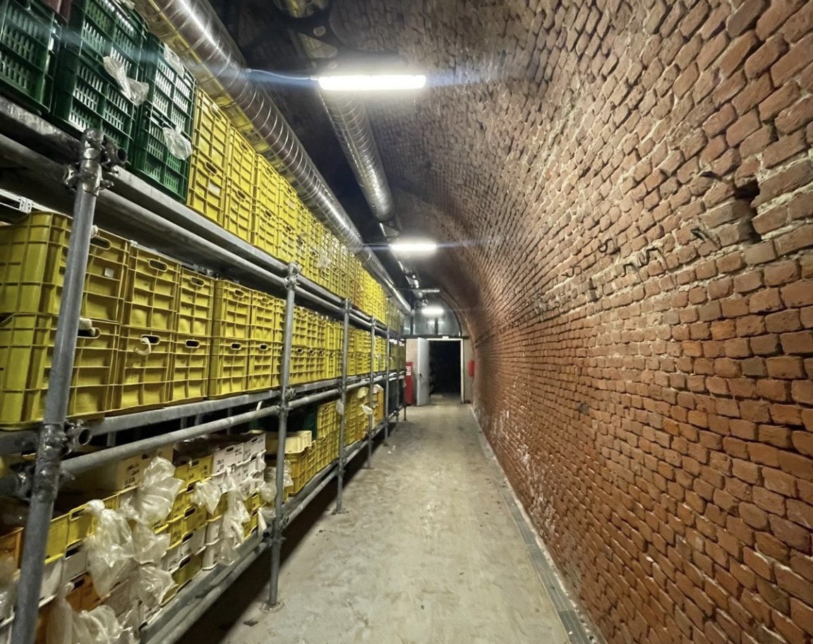 Velia, nuova vita per la ex Galleria Ferroviaria: pubblicata la gara per i lavori di riqualificazione