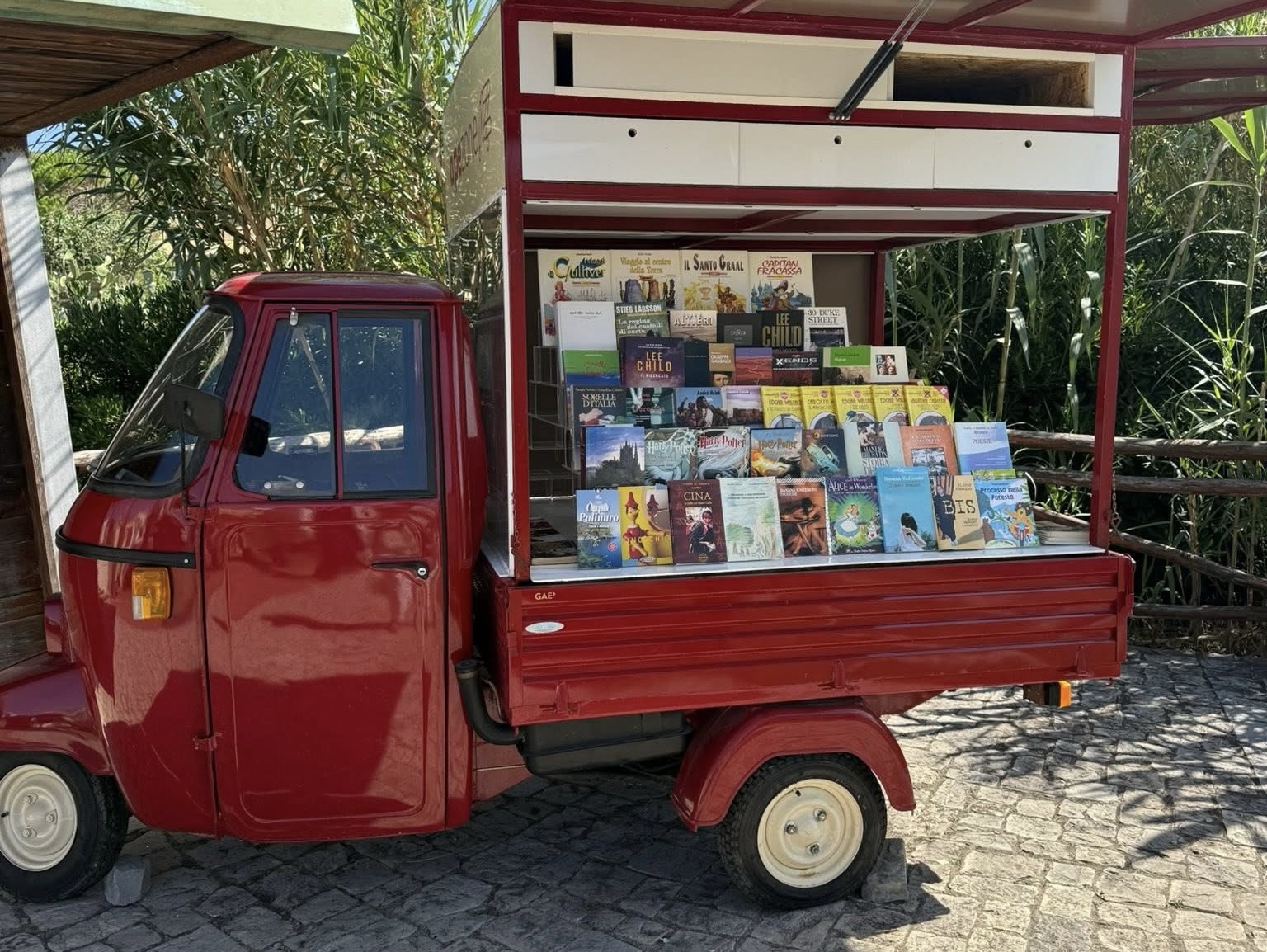 Centola, la biblioteca viaggia su tre ruote: libri a bordo dell’apecar