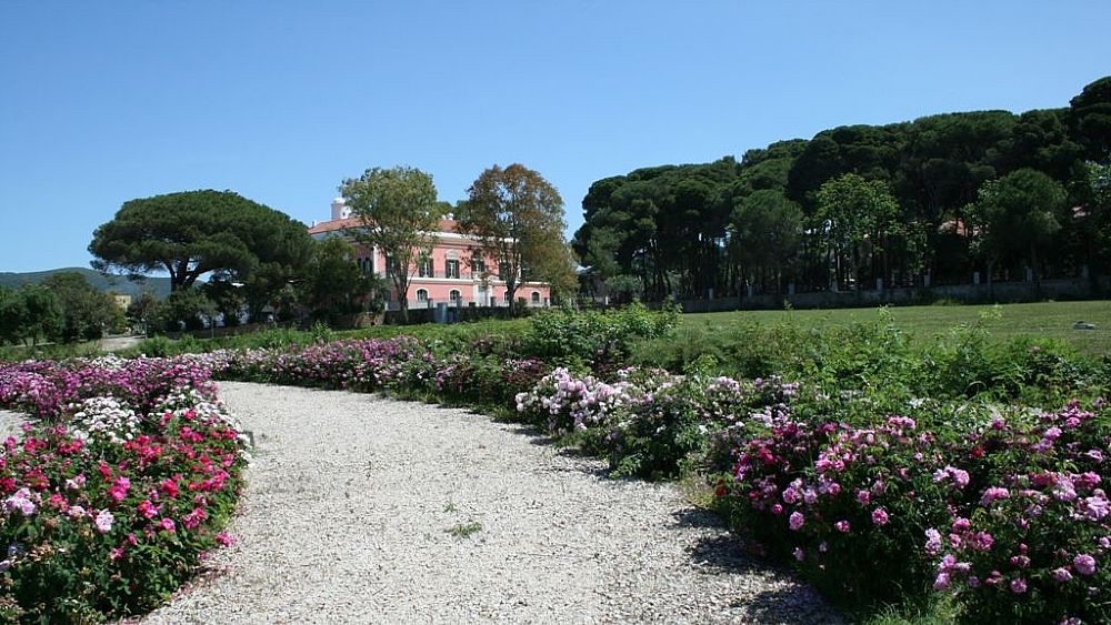 Il Parco del Cilento diventa palcoscenico culturale: arriva “Week End al Parco”