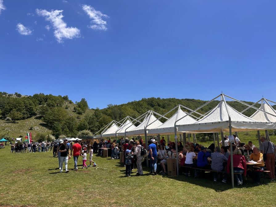 Sassano, natura e colori per la 25° edizione della Valle delle Orchidee: aquiloni in volo per la pace