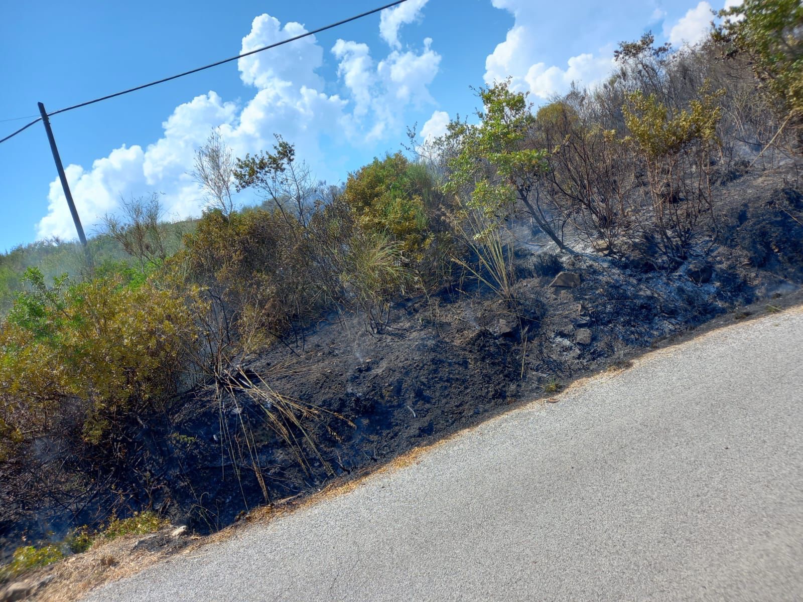 Incendio a Casal Velino, fiamme in località Rungi: in corso le operazioni di spegnimento
